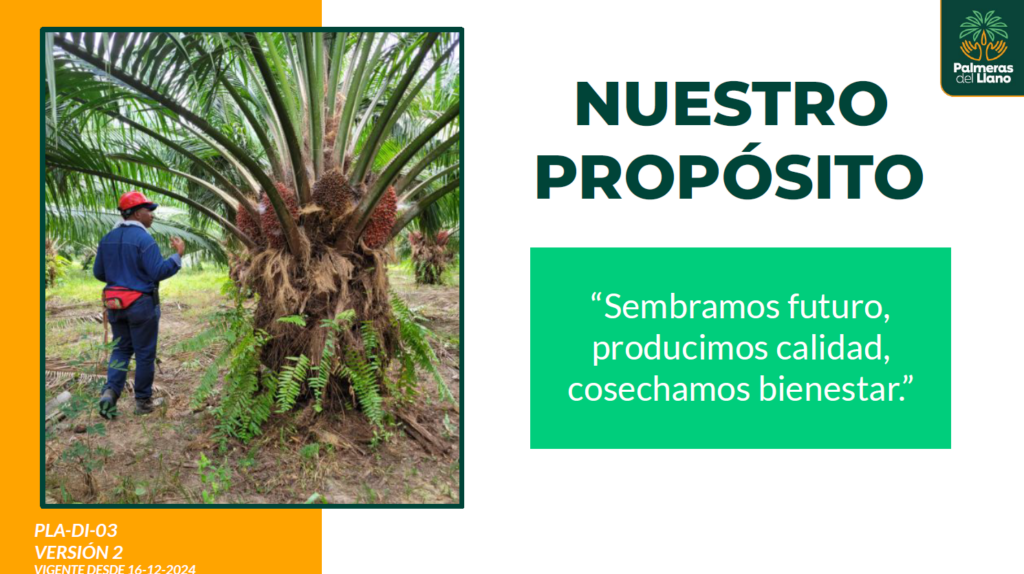 proposito