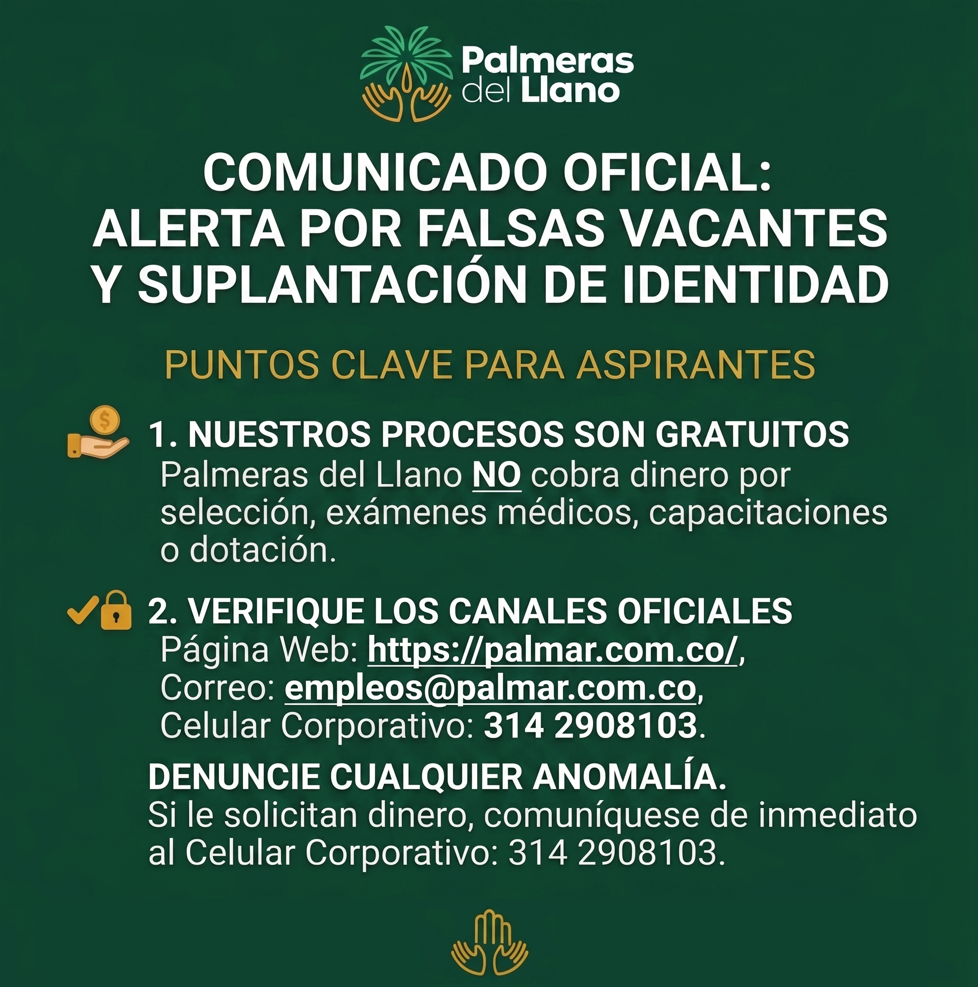 banner suplantacion palmeras